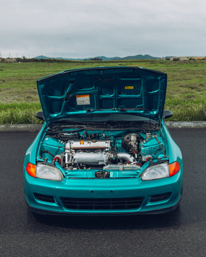 K24 Aztec Green EG Hatch Sticker